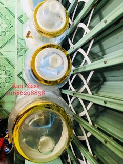 Bình Ngâm Sâm Thủy Tinh 12L Van [Hàng Có Sẵn]