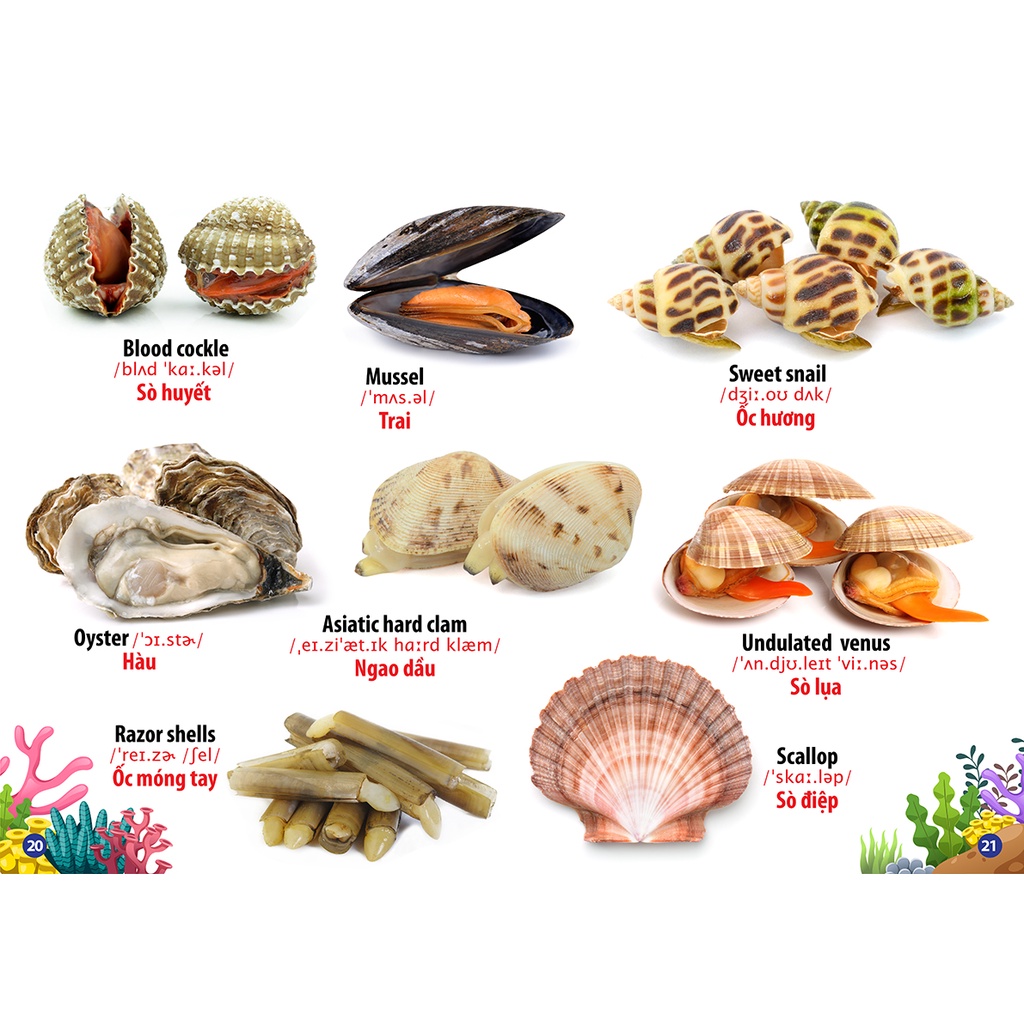 Sách - Thư Viện Hình Ảnh Song Ngữ Đầu Tiên Của Bé - Động Vật Dưới Nước