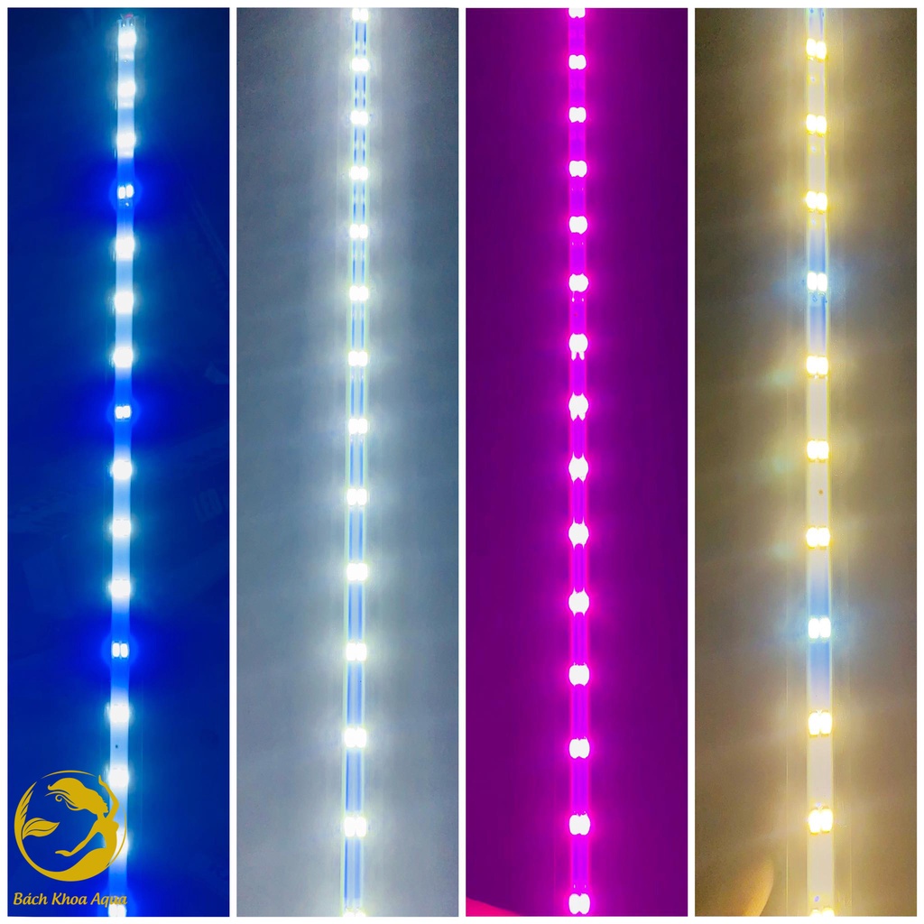 Đèn Led thanh T4 Kaokui 2 hàng bóng nhiều màu