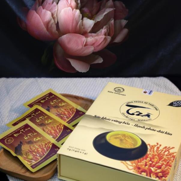 Đông Trùng Hạ Thảo SaHa Hộp 9 gói, 1g/gói | BigBuy360 - bigbuy360.vn