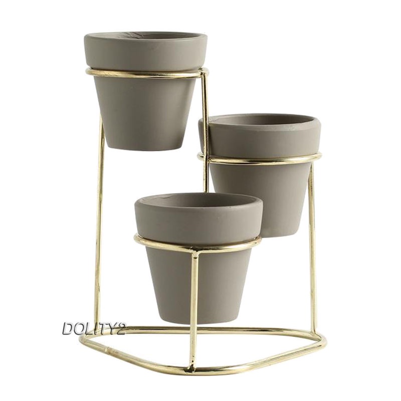 Bộ Sưu Tập Chậu Cây Mọng Nước 3 Trong 1 [Dolity2] Với Giá Đỡ Kim Loại Màu Vàng Kim
