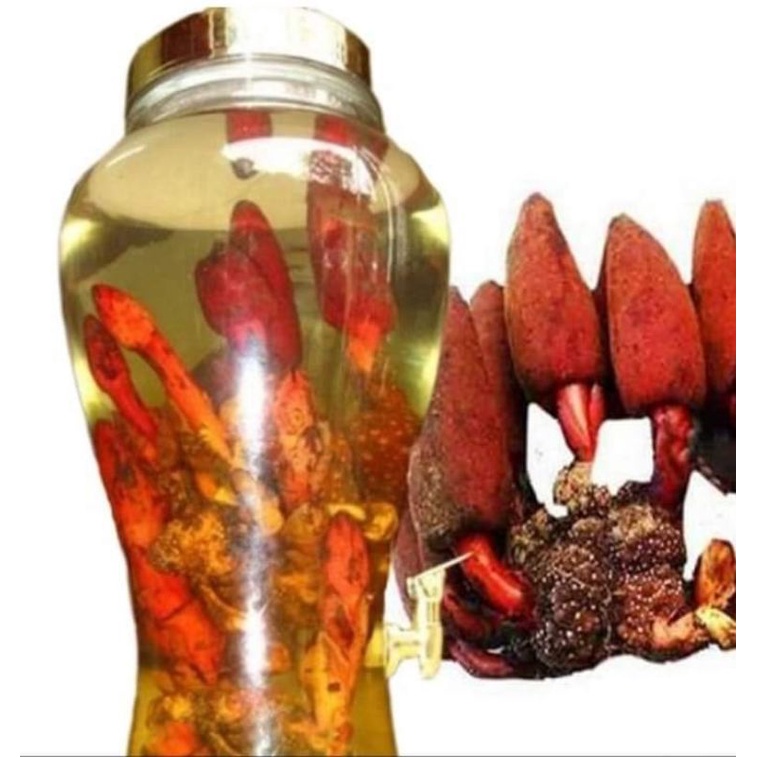 Nấm ngọc cẩu 1kg