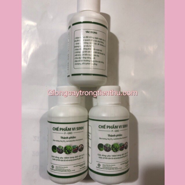 CHẾ PHẨM VI SINH P-GRO (ĐẬU TƯƠNG,Na2Co3,Lactobacillus Fermentum) 5 lọ