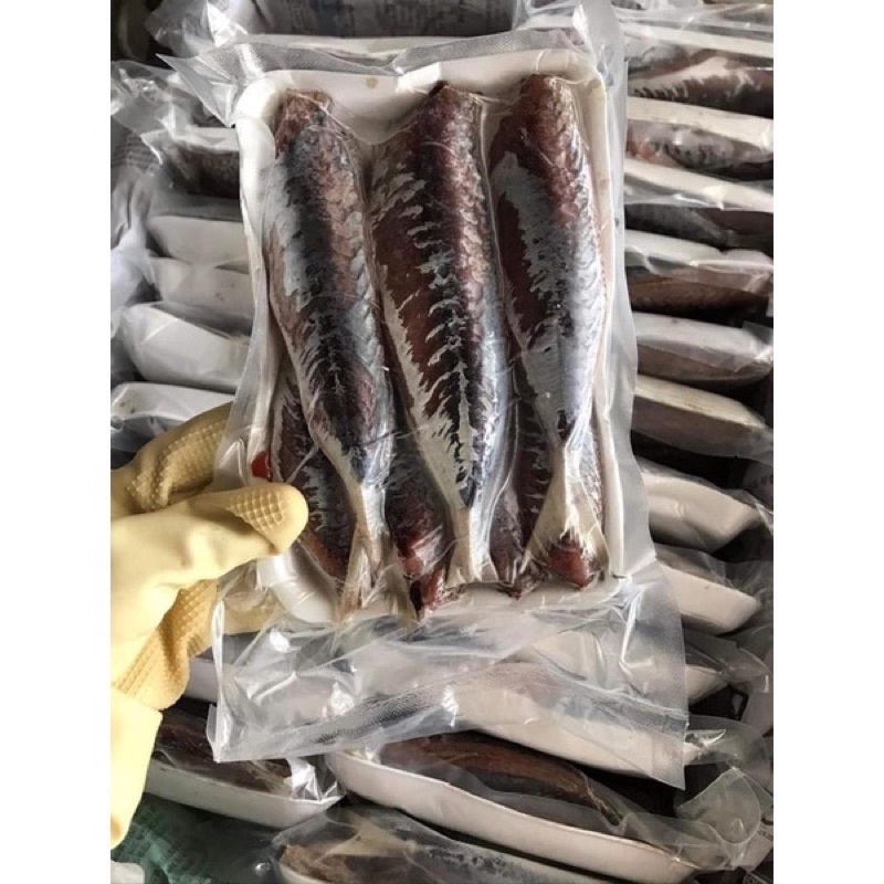 cá nục 1 nắng size to❤️GIÁ SỈ ❤️500gr thơm ngon kho , chiên