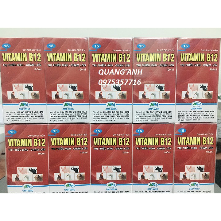 Vitamin B12 giúp giải độc chống sốc cho Lan chai 100ml