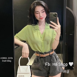 Áo lưới cổ V 4 màu cho nữ