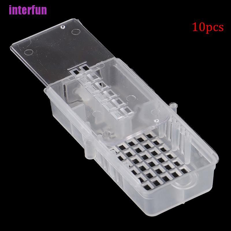 Bộ Đồ Chơi Chú Ong Hoàng Gia Tỉ Lệ 1 / 10