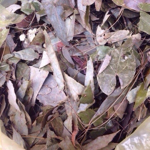Combo mix 2kg: Dâm dương hoắc, Nhục thung dung, Sâm cau, Ba kích, Nấm ngọc cẩu