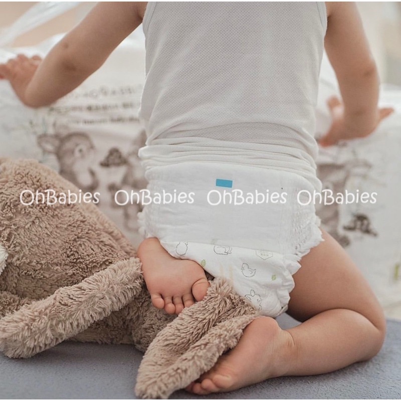 Bỉm dán/quần MOMO RABIT nội địa Hàn Quốc S36/M32/L28/XL22/XXL18 [OH BABIES]