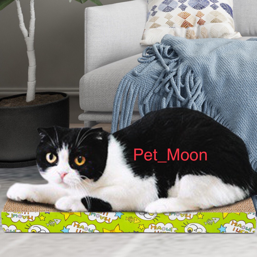 Bàn Cào Móng Cho Mèo Carton - Đồ Chơi Cho Mèo