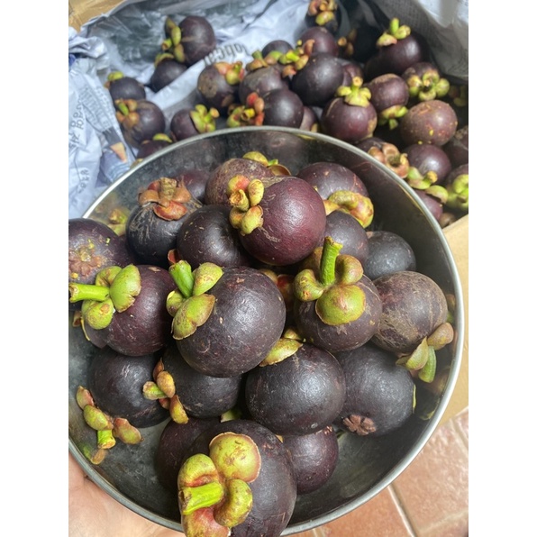 { Sale 59k/ 1kg ) 1kg Măng Cụt miền Tây- Vỏ Mỏng, Ruột ngọt, ngon [ Mangosteen ] | BigBuy360 - bigbuy360.vn