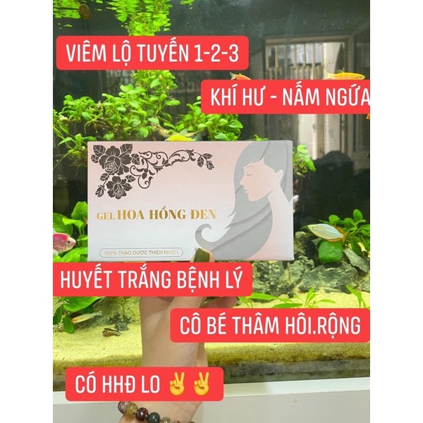 GEl CAO CẤP HOA HONG ĐEN