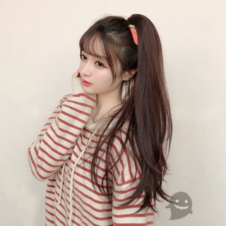 Ngoạm thẳng hàn quốc cao cấp 50cm
