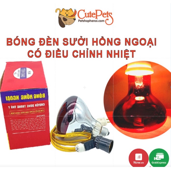 Bóng đèn sưởi hồng ngoại Có phụ kiện điều chỉnh nhiệt dành cho cho chó mèo đẻ - Đủ đồ chỉ việc dùng - CutePets