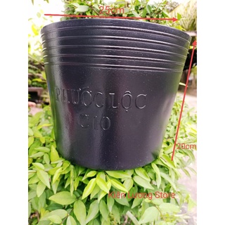 Chậu nhựa đen C10