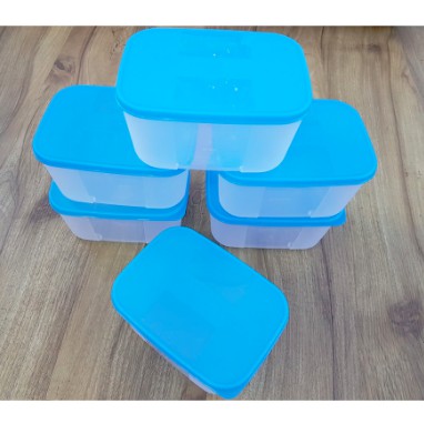 Hộp trữ đông Freezermate Tupperware 650ml | BigBuy360 - bigbuy360.vn
