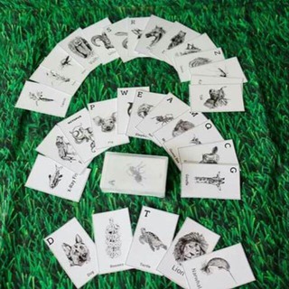 Bộ thẻ animal 4D - gồm 30 thẻ