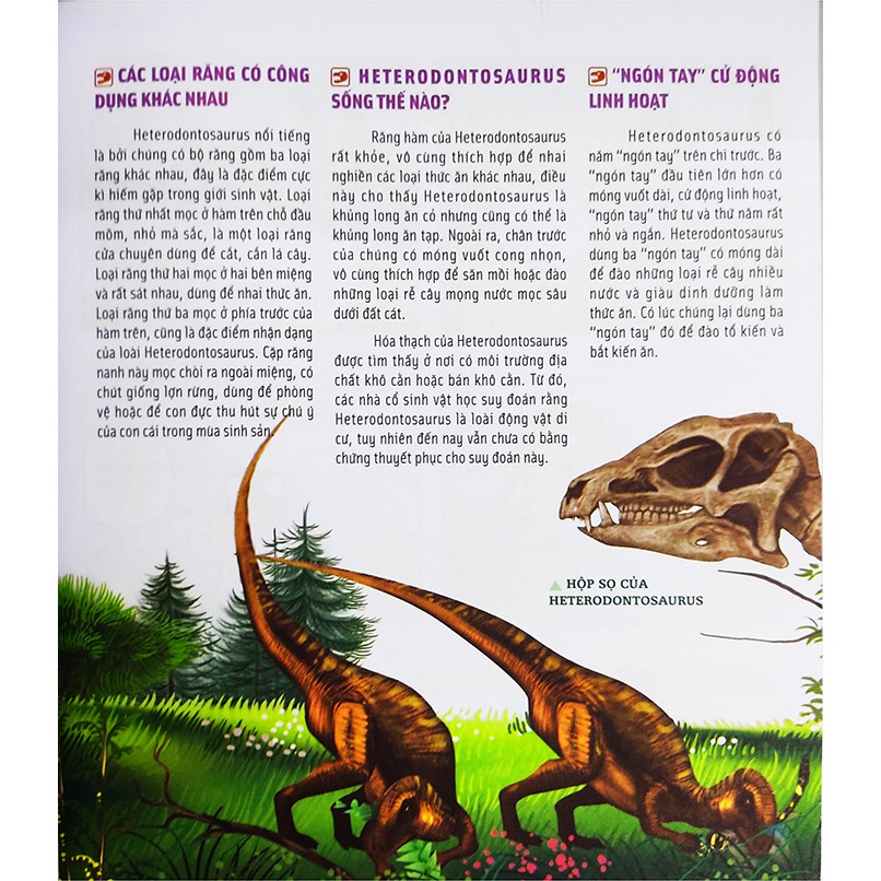 Sách cho bé - Bách Khoa Động Vật Dành Cho Trẻ Nhỏ - Khủng Long