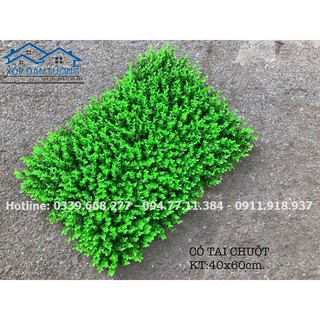 [Kho Hà Nội] [Hàng Loại 1] Cỏ tai chuột trang trí tường kích thước 60 x 40 cm - Cỏ nhựa