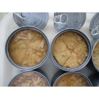 48 lon cá Ngừ ngâm dầu (140g/ lon) dang chunk