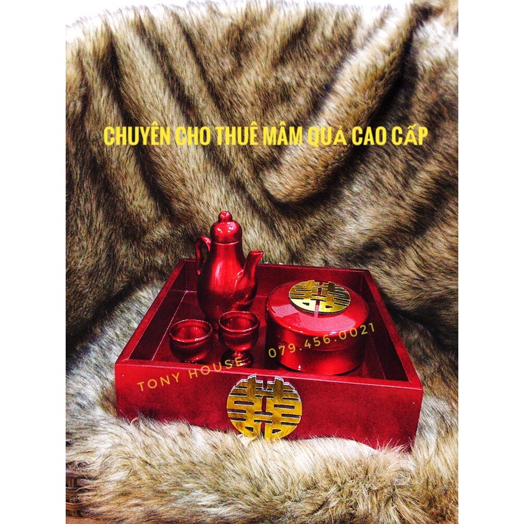THUÊ MÂM QUẢ CƯỚI CAO CẤP - Chuyên bán và cho thuê - Tony House