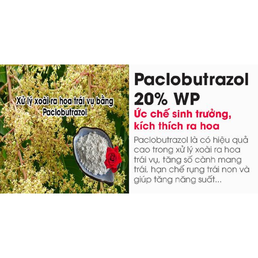 PACLOBUTRAZOL20%  Tạo mầm, Kích Hoa Gói 1Kg