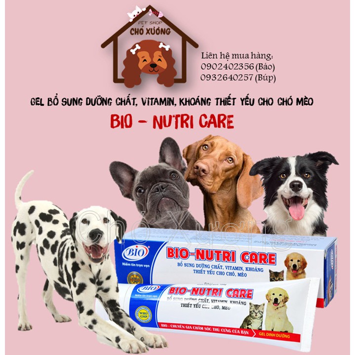 Gel dinh dưỡng cho chó mèo BIO NUTRI CARE bổ sung dinh dưỡng vitamin và khoáng chất thiết yếu 100g