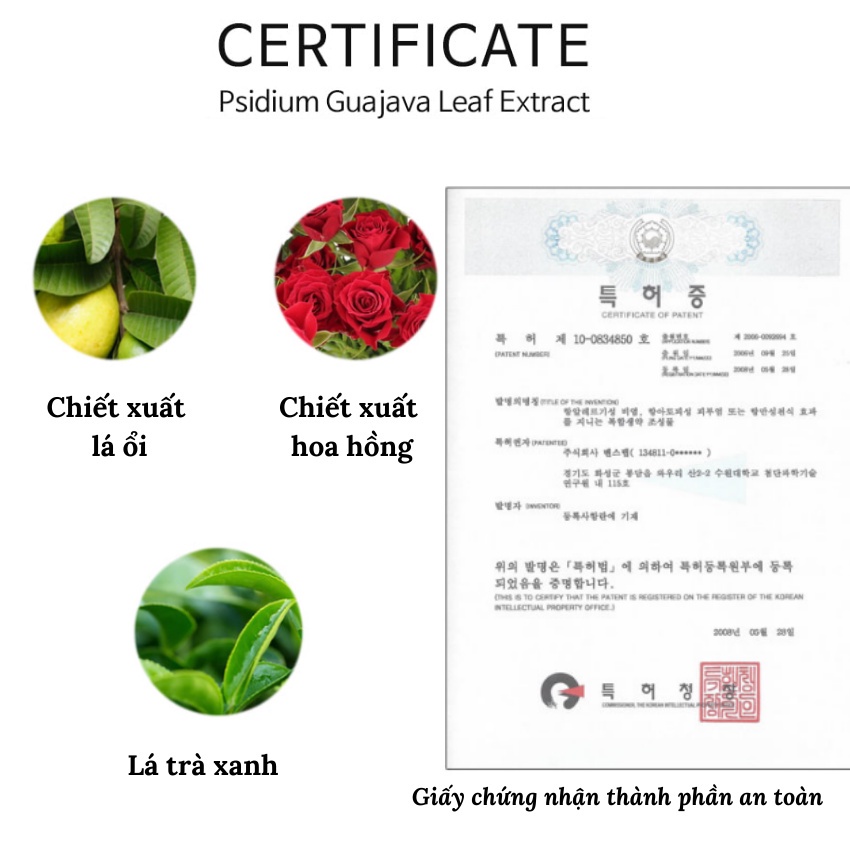 Sữa Rửa Mặt Rau Má Cho Da Dầu Mụn Không Khô Da Siskeli Cica Cream Cleansing Foam 150ml - BABICOS