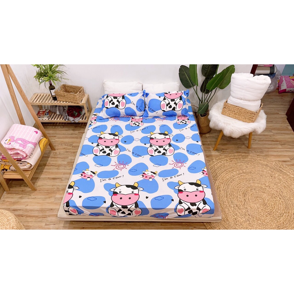 Bộ Chăn Ga Gối Cotton Poly Mẫu Mới Maibedding Thấm Hút Mồ Hôi Không Phai Bai Xù Giá Rẻ Đón Chào Mùa Đông 2021