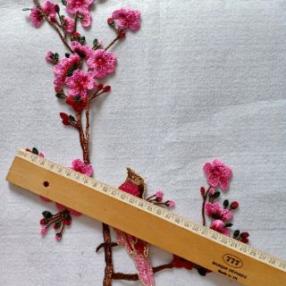 Hoa mai bộ 01