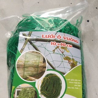 Lưới xanh ô vuông 1,8x3m