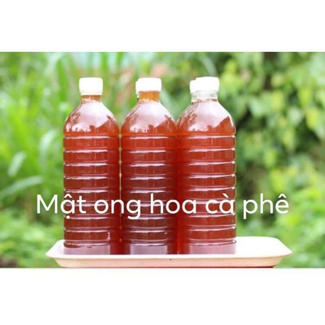 Mật Ong Nguyên Chất Hoa Cà Phê Bảo Lộc 1 Lít