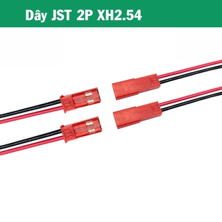 Dây jst 2p xh2.54 dài 10cm cặp đực cái
