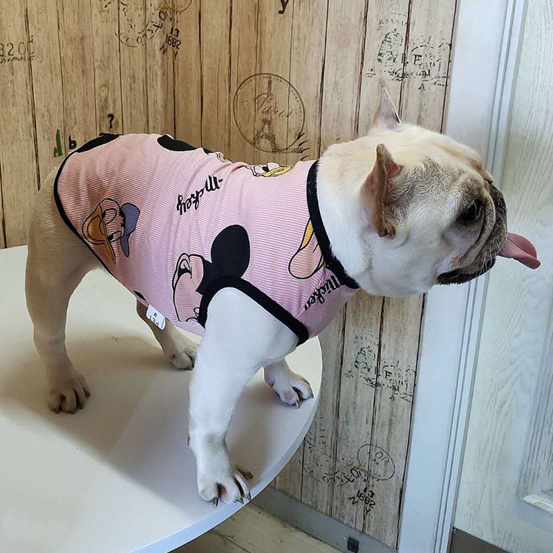 Chiến đấu quần áo mùa xuân và hè mỏng cho chó pug Anh bulldog cỡ trung vest con thú cưng