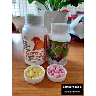 GALLOMIN & B15-B12 - (Bộ đôi nuôi chất lượng dành cho Chiến Kê)