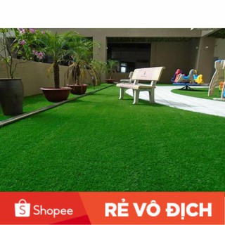 20 gam hạt giống cỏ nhung nhật