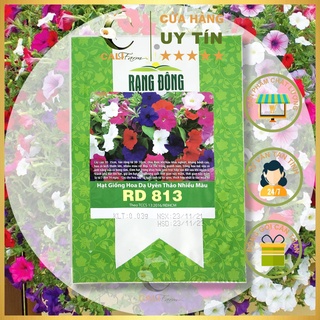 Hạt Giống Hoa Dạ Uyên Thảo Nhiều Màu Rado 813 Dễ Trồng, Nảy Mầm Tốt