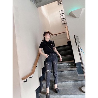 bán sỉ áo phông cổ Đức