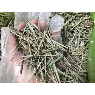 LÁ SẢ PHƠI KHÔ