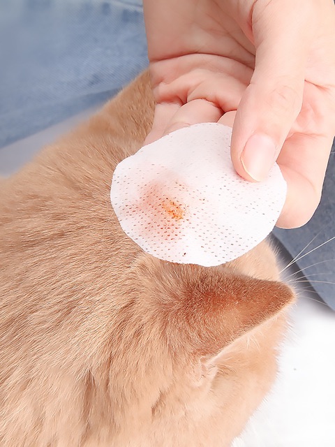 Lau vết ố mắt tai chó mèo dịu nhẹ 120 miếng, bông khăn giấy lau vệ sinh cún mèo Con Mèo Xiêm