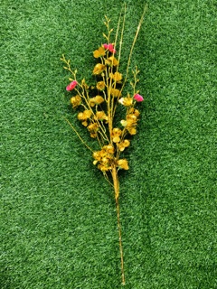 Cành vàng lá ngọc