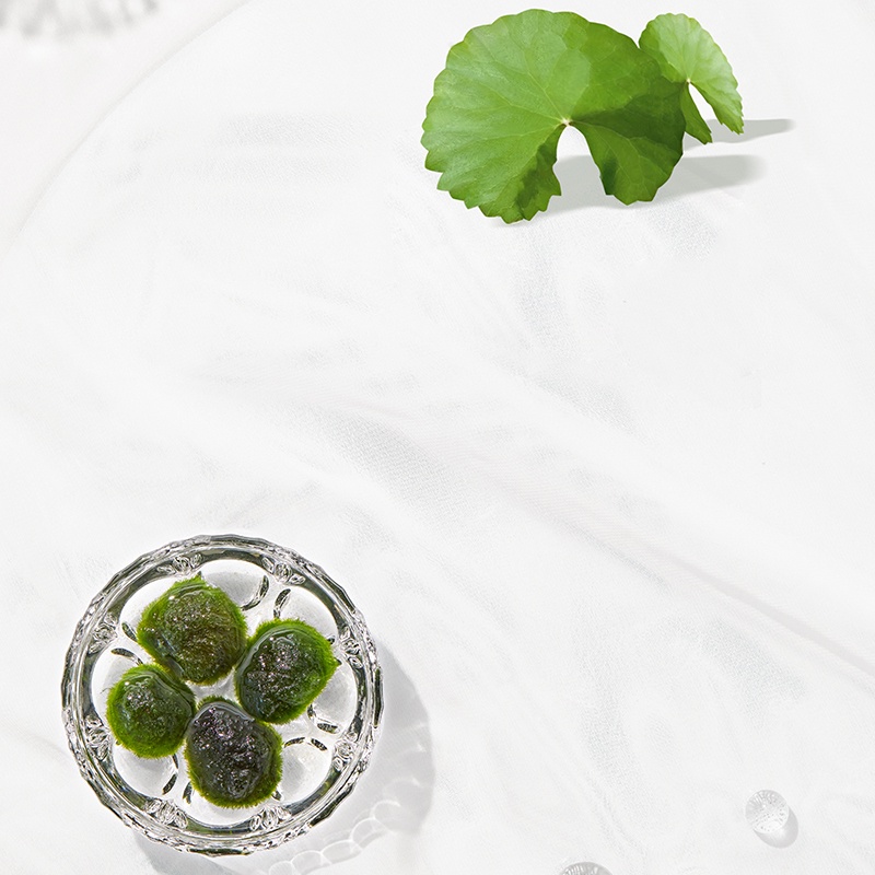 Abby's Choice Centella Asiatica Reviving Repair Face Toner 20ML | BigBuy360 - bigbuy360.vn