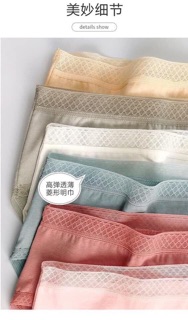 Combo 6 quần chip cotton xuất Nhật