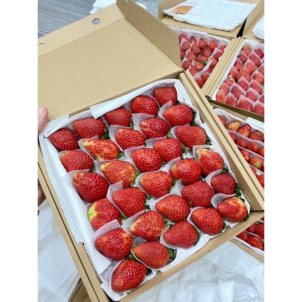 Dâu tây giống Nhật Sky VIP 25-30 trái NGỌT đậm, Thơm ngon, mọng nước.