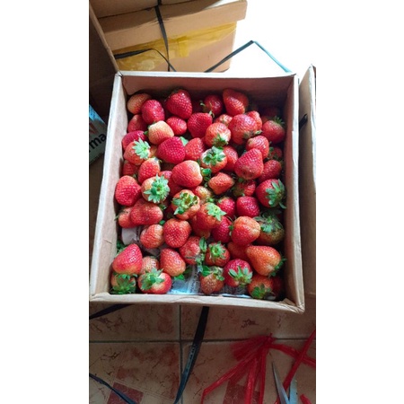 Hộp 3kg dâu tây Mỹ đá Size NHẤT nhà trồng
