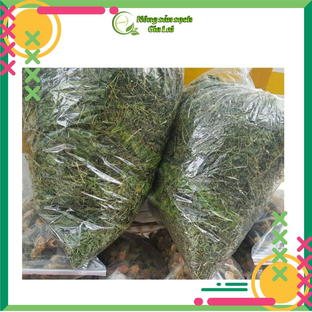 Cây khổ qua rừng (mướp đắng rừng), sản phẩm rất tốt cho sức khỏe