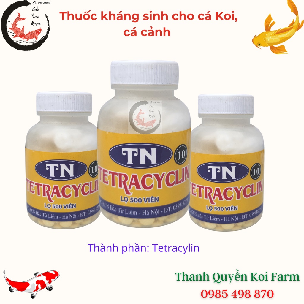 Thuốc kháng sinh trị lở loét nhiễm khuẩn cho cá Koi, cá cảnh TN 10 Lọ 500 viên