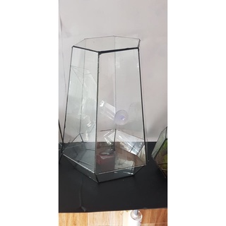 Tiểu Cảnh Bình thủy tinh terrarium  (tặng kèm hít kính )