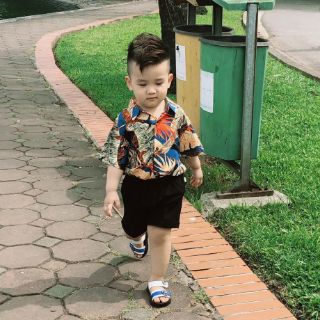 Set bộ bé trai hoa lá cành