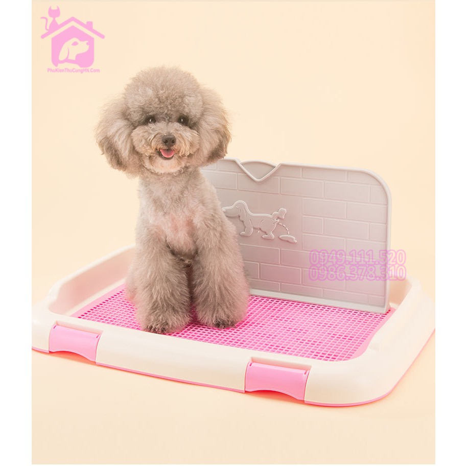 🐕 Khay vệ sinh cho chó Size nhỏ 46x35 có tường và cọc cao cấp - CutePets Phụ kiện thú cưng pet shop Hà Nội